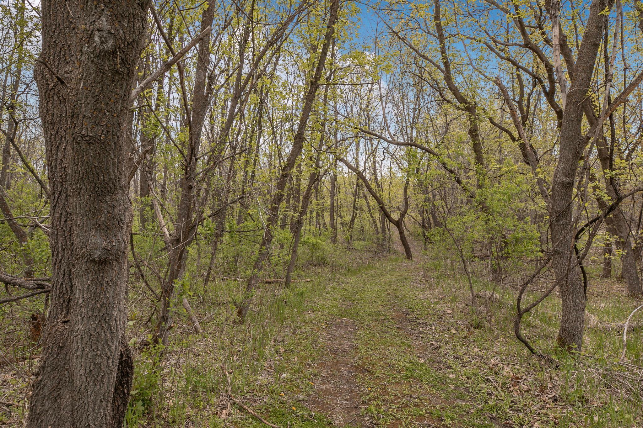 1850 Beauty Point Road Southwest Farwell, MN 56327 - Photo 86 of 101