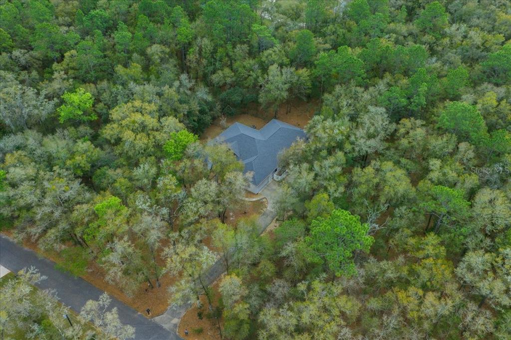 7550 Southwest 185th Circle Dunnellon, FL 34432 - Photo 46 of 61