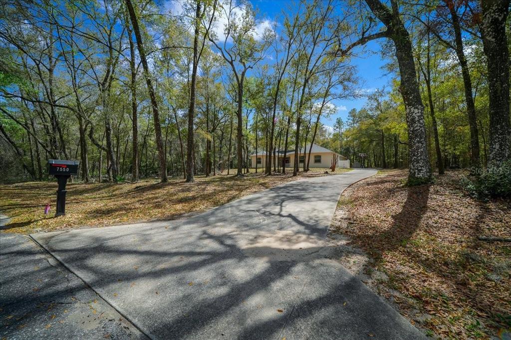 7550 Southwest 185th Circle Dunnellon, FL 34432 - Photo 50 of 61