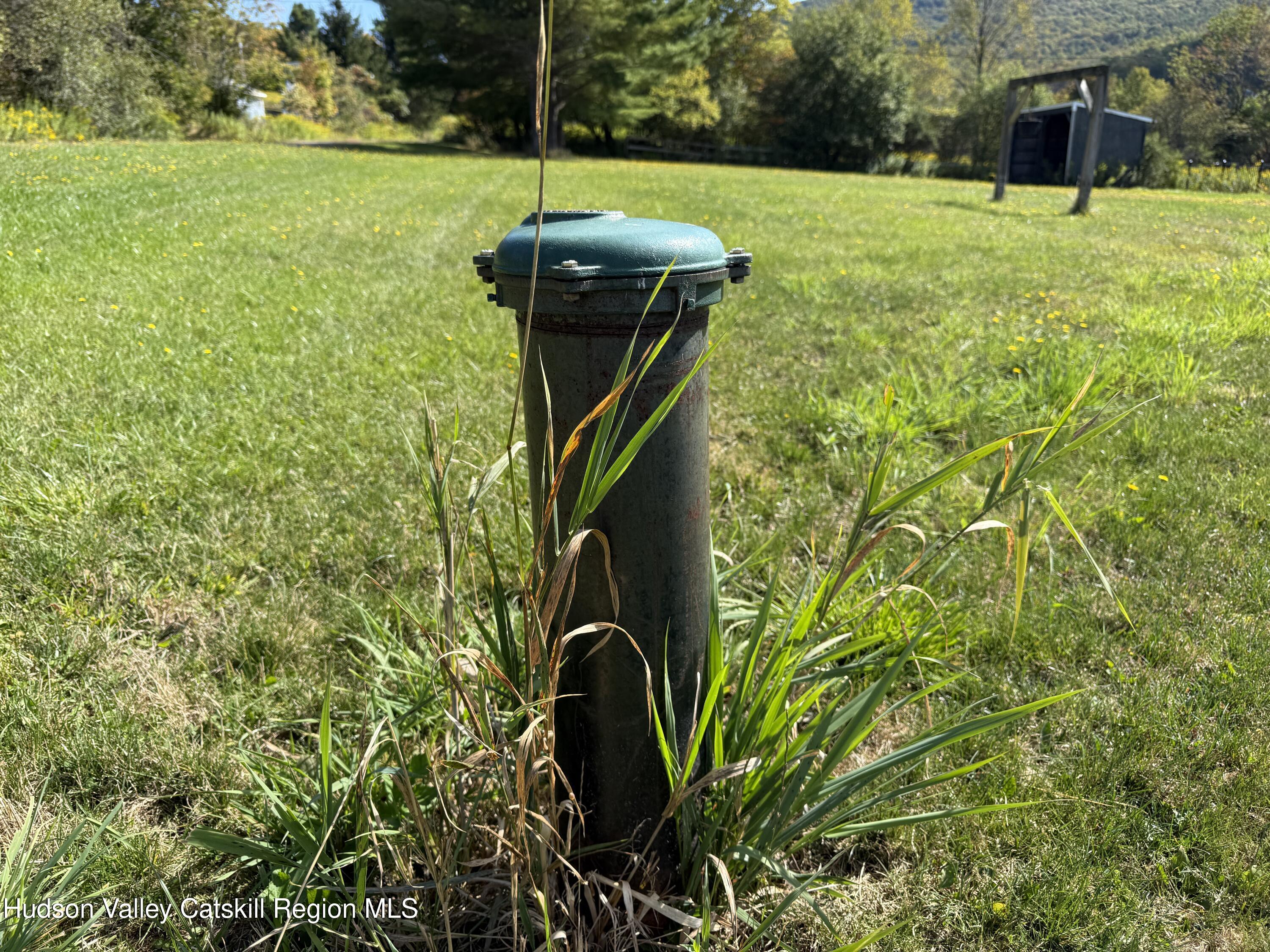 5574 County Highway Denver, NY 12421 - Photo 11 of 36 a backyard of a house with lots of green space