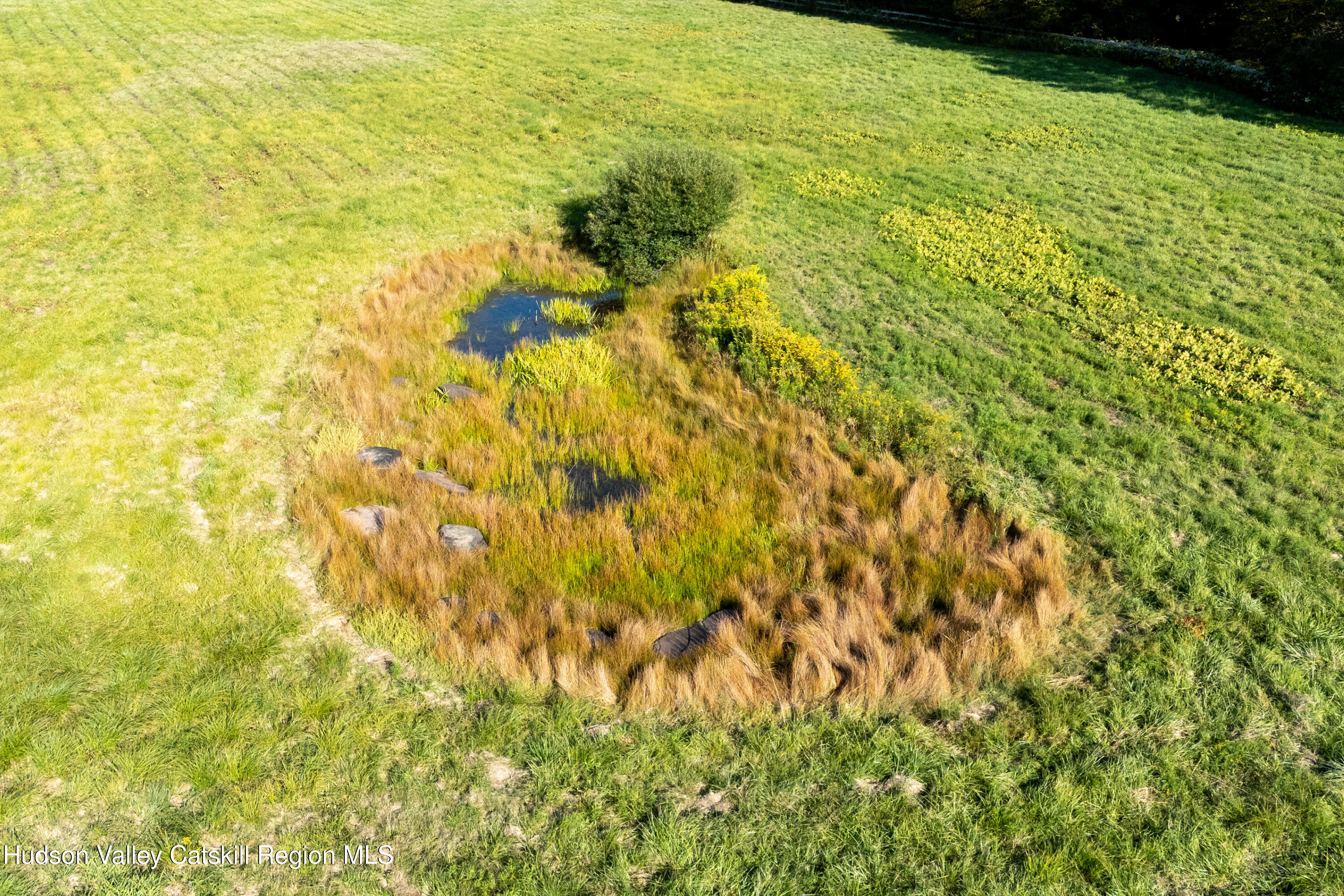 5574 County Highway Denver, NY 12421 - Photo 20 of 36