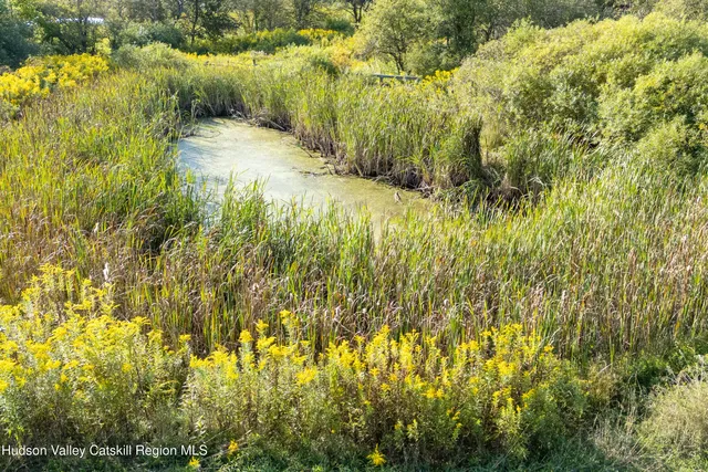 a view of a swimming pool