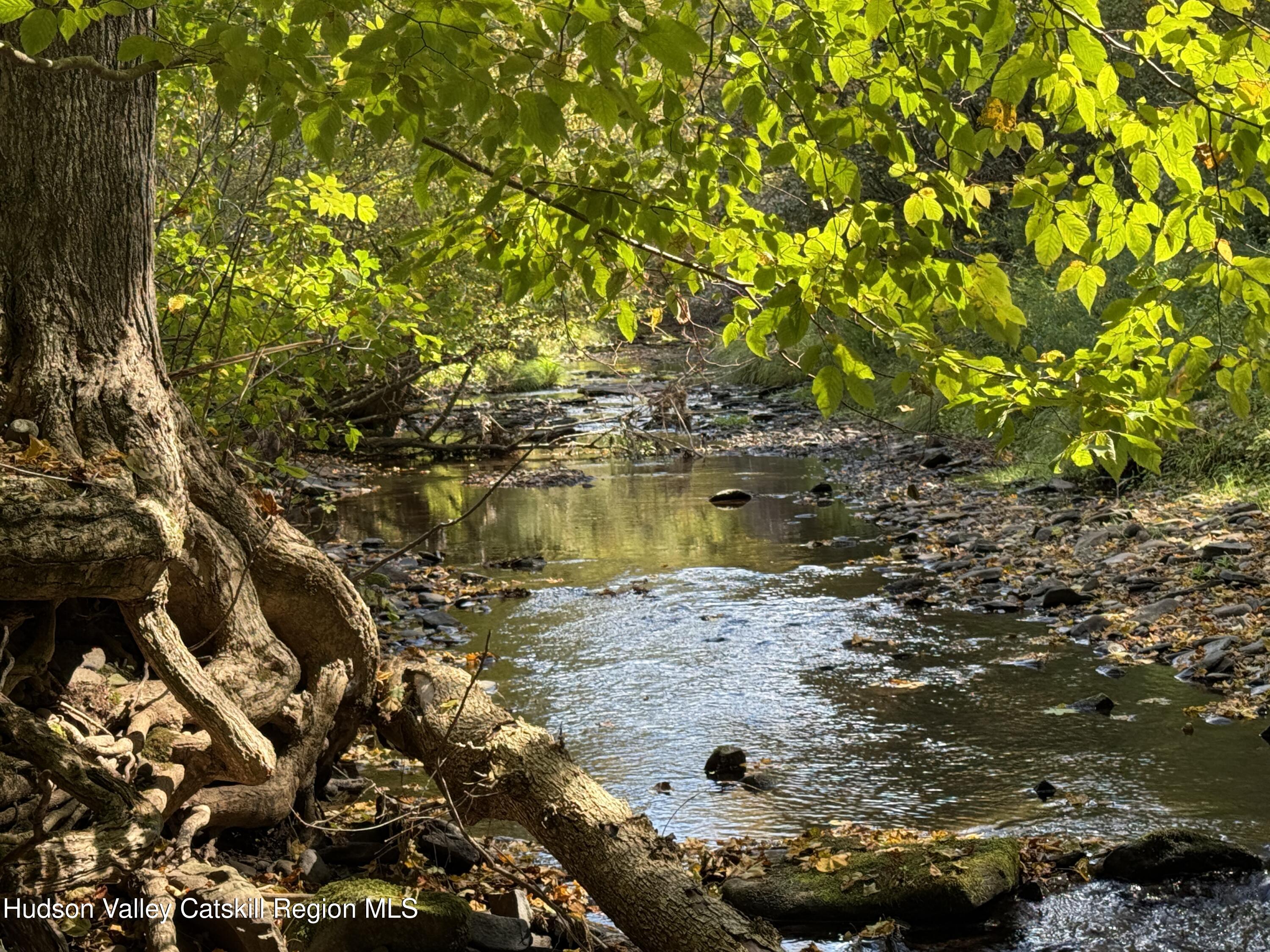 5574 County Highway Denver, NY 12421 - Photo 23 of 36