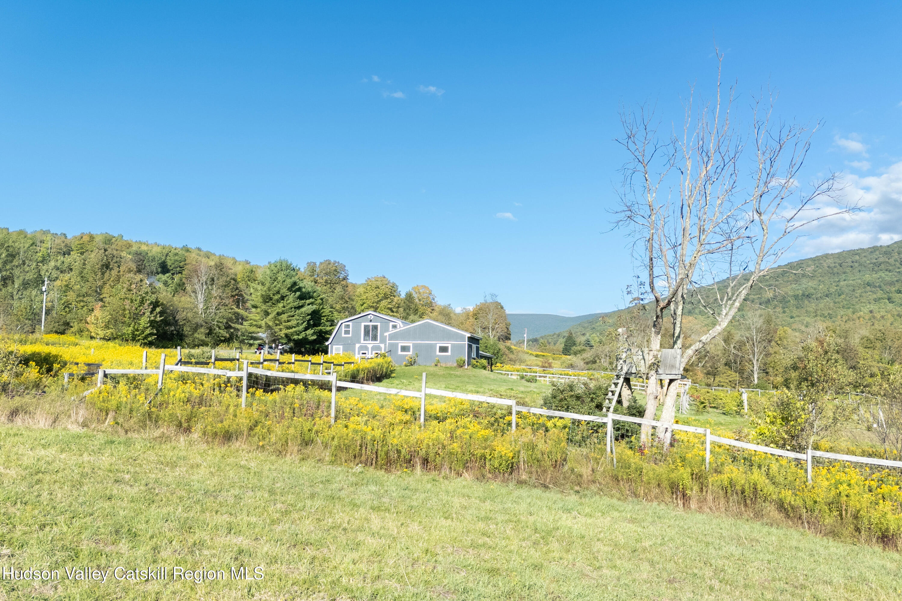 5574 County Highway Denver, NY 12421 - Photo 25 of 36 a view of a swimming pool