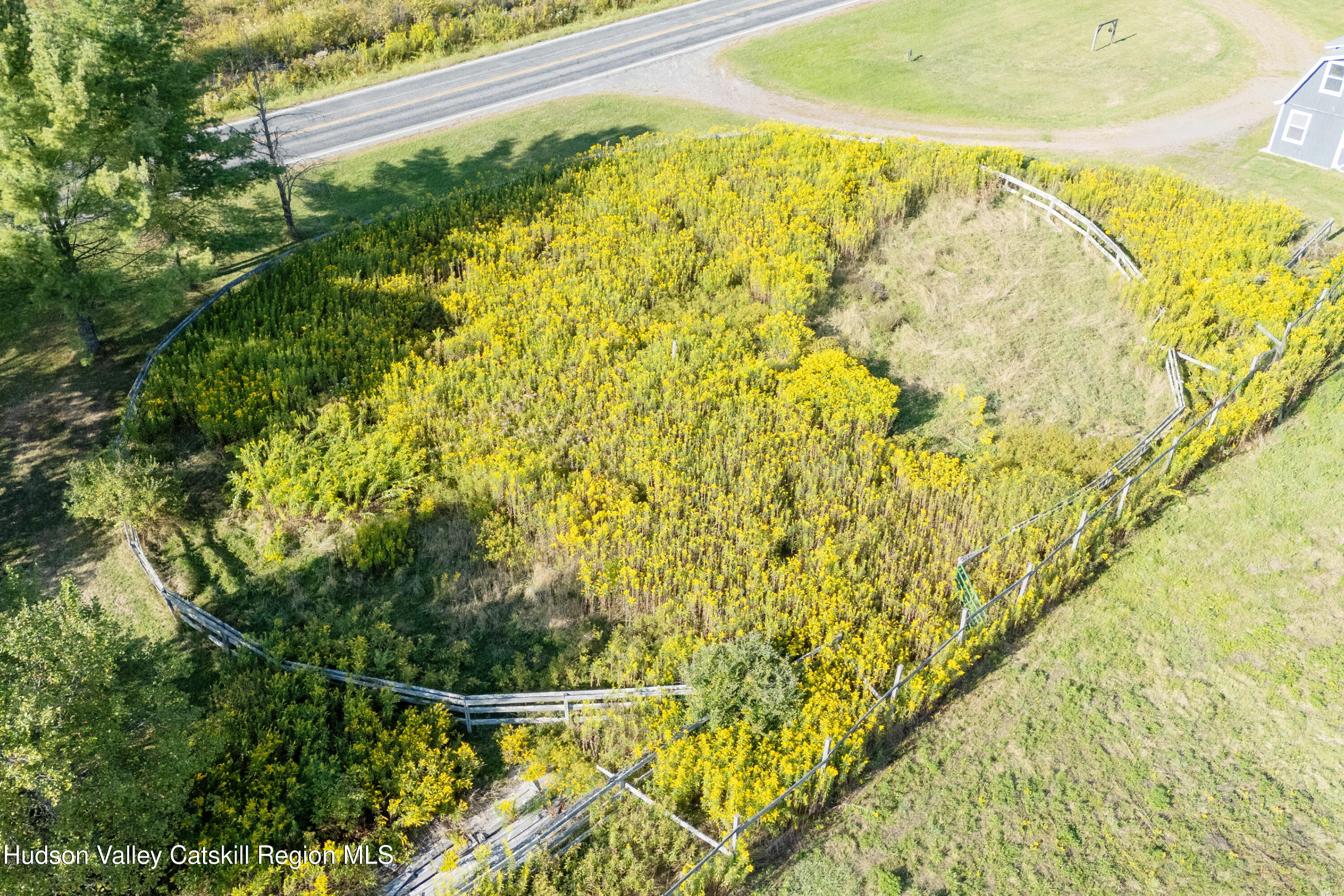 5574 County Highway Denver, NY 12421 - Photo 27 of 36 a view of a swimming pool