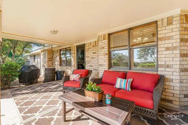 a view of a yard with plants and a large tree