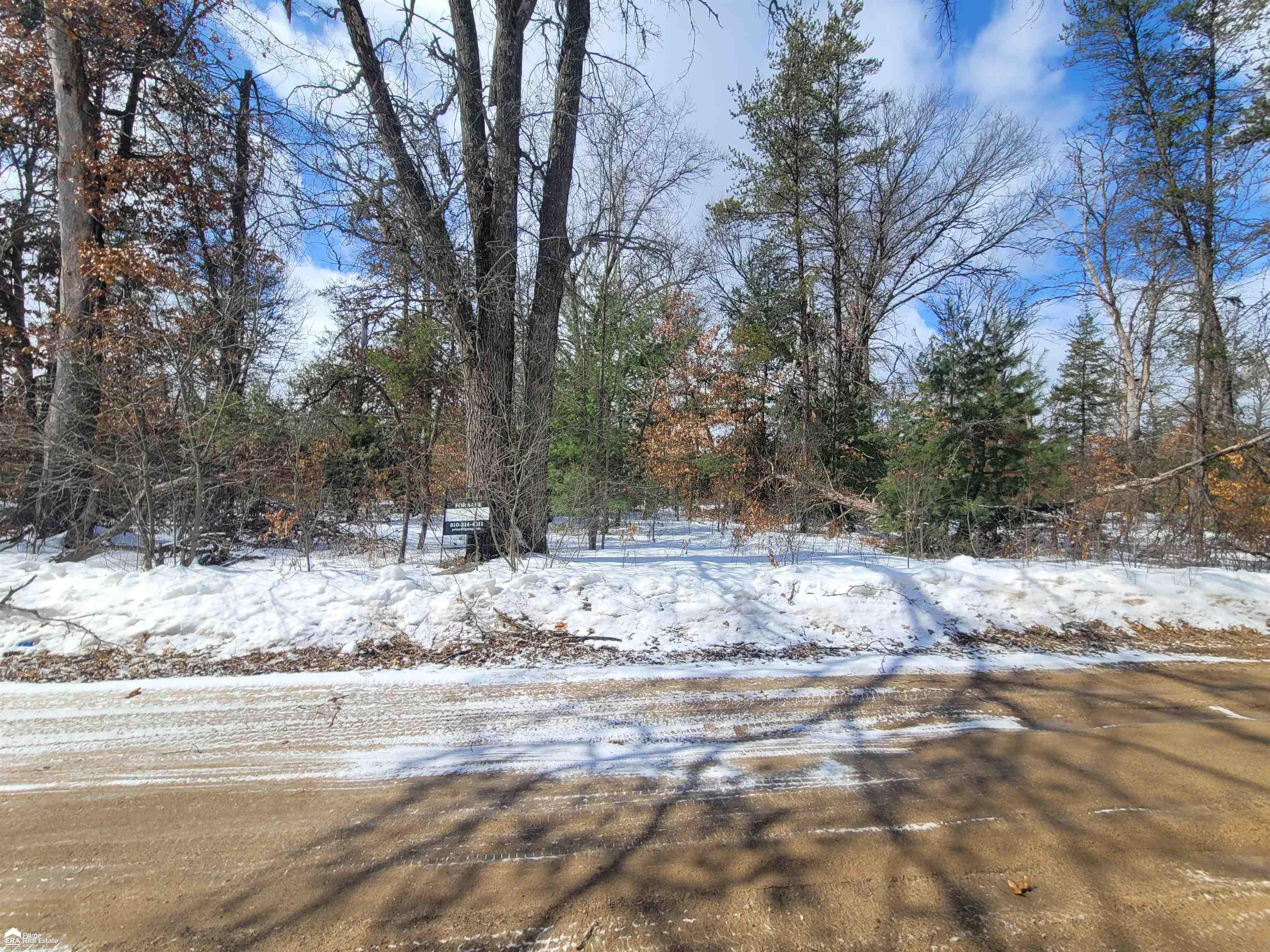 V/l Edith Schneider Road Harrison, MI 48625 - Photo 1 of 7