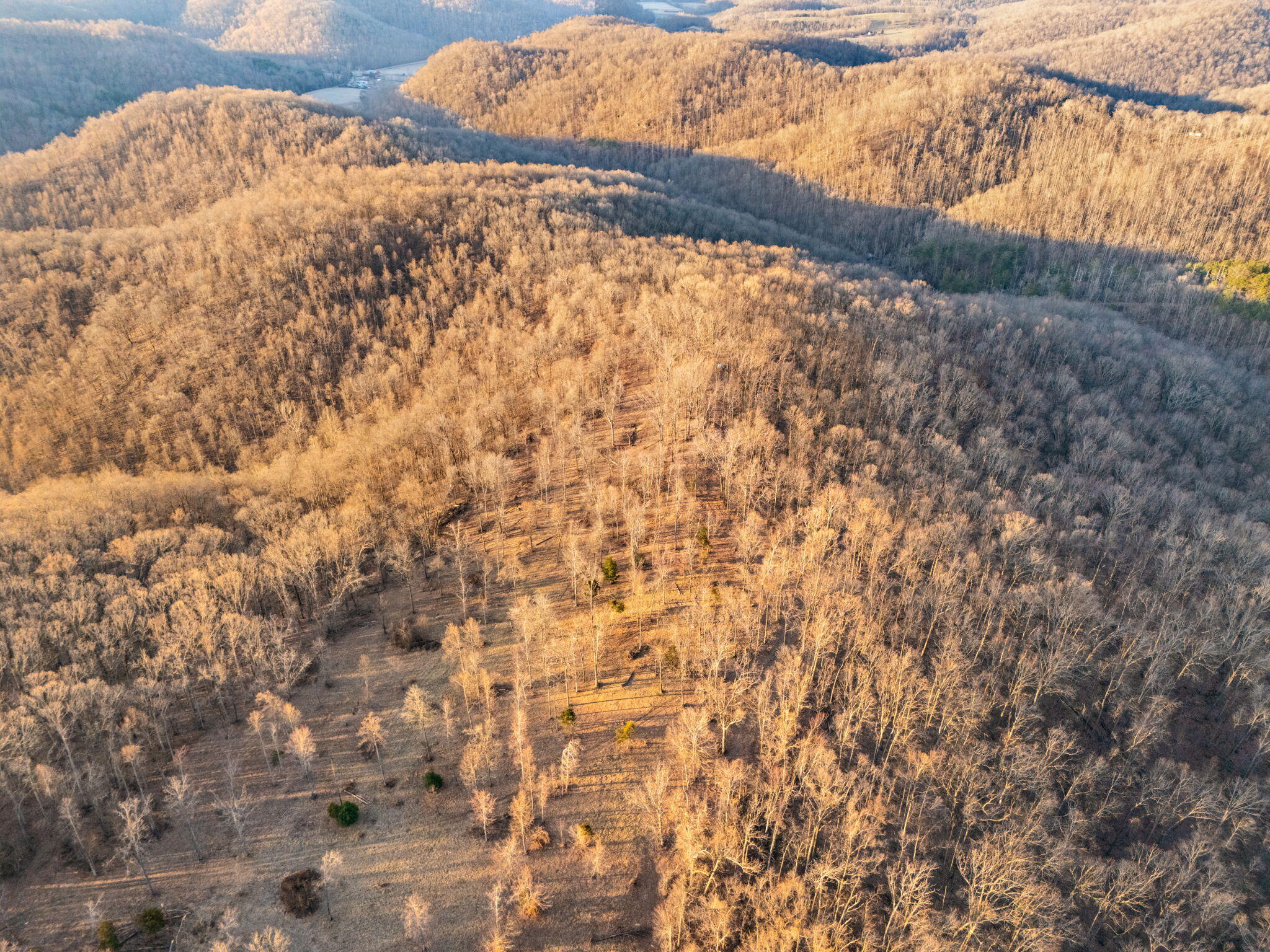 A & C Wildie Road Mount Vernon, KY 40456 - Photo 19 of 28 19-web-or-mls-DJI_20250310083558_0054_D