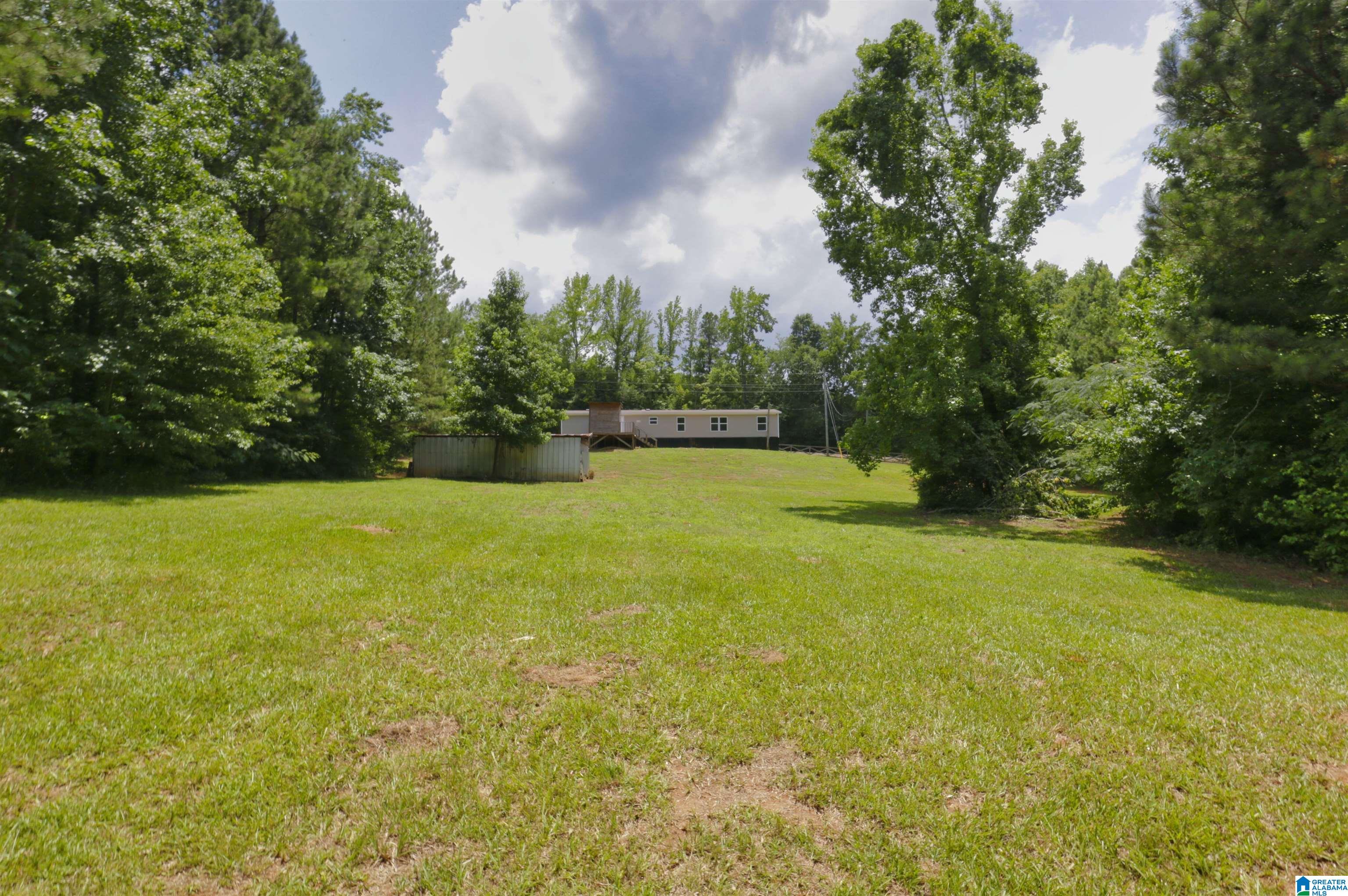 2704 Woolfolk Road Munford, AL 36268 - Photo 5 of 41