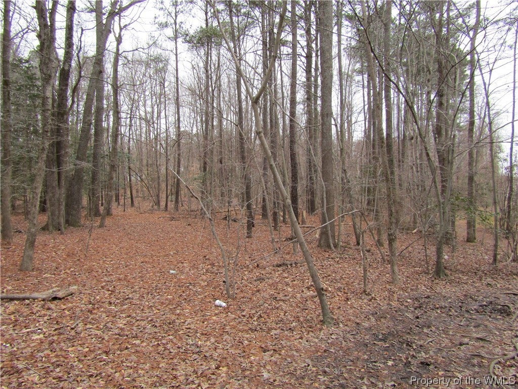 6423 Centerville Road Williamsburg, VA 23188 - Photo 5 of 8 Gallery Image 5