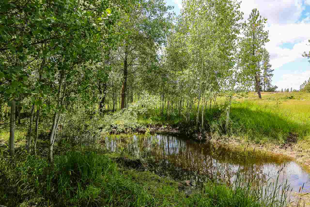 12725 South Austin Road Spokane, WA 99224 - Photo 20 of 20