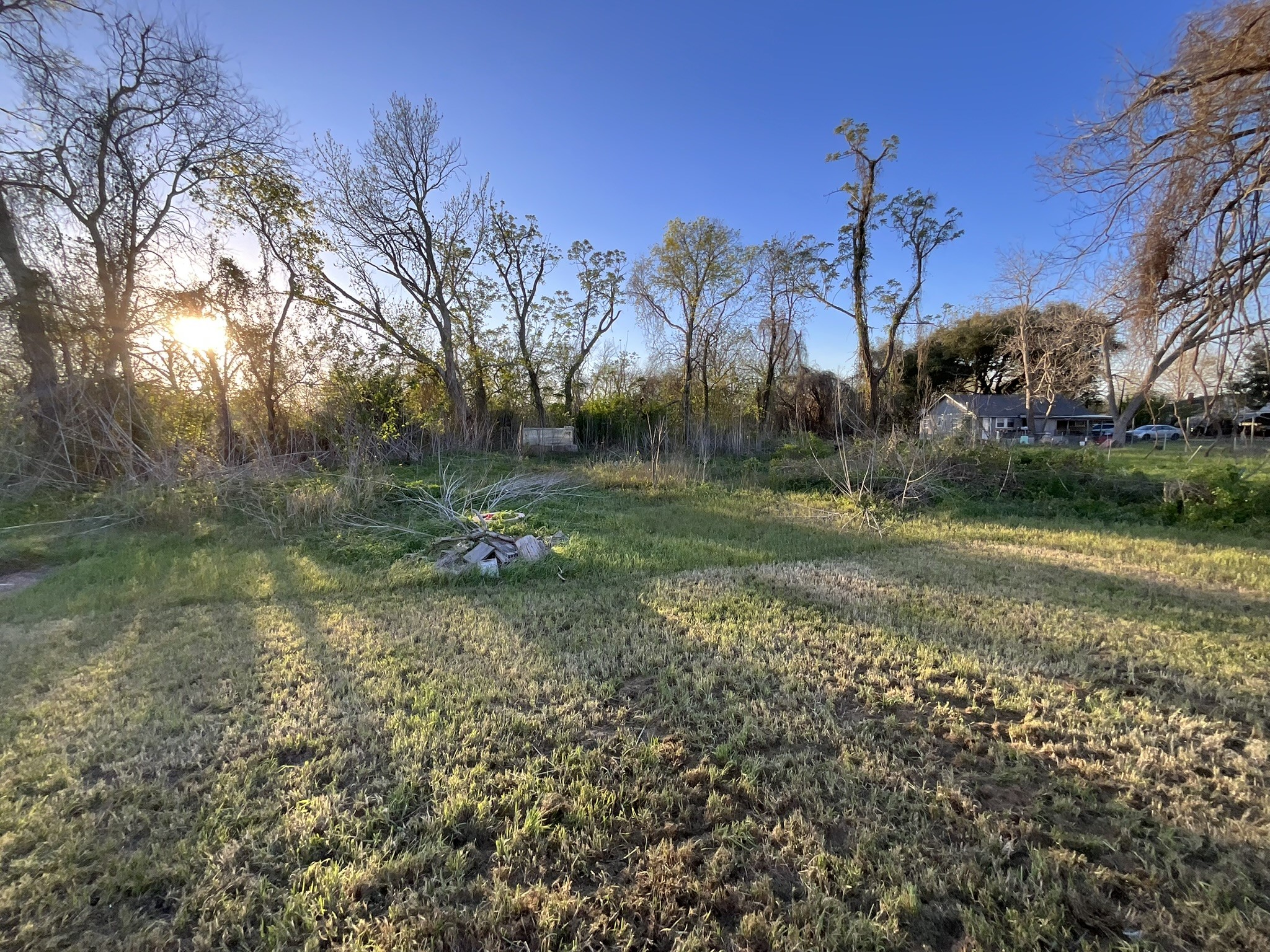 803 North Spanish Camp Road Wharton, TX 77488 - Photo 12 of 13 a view of a tree in a yard