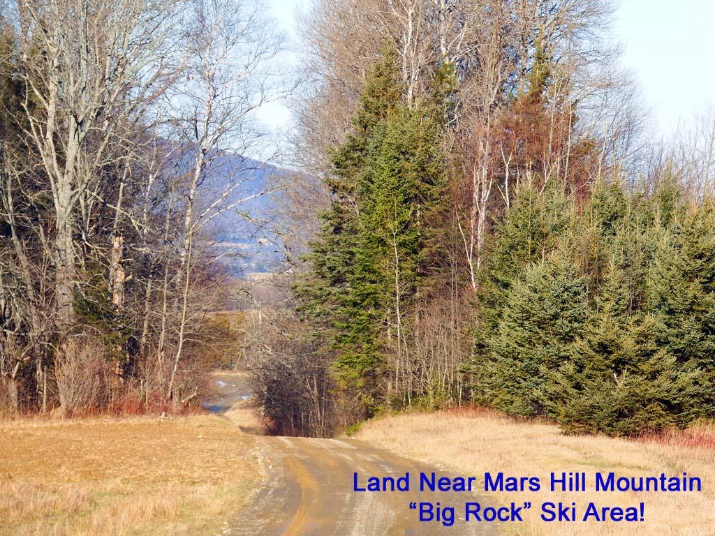 Lot 10-2 Buckley Road Bridgewater, ME 04735 - Photo 16 of 24 maine-land-buckley-rd