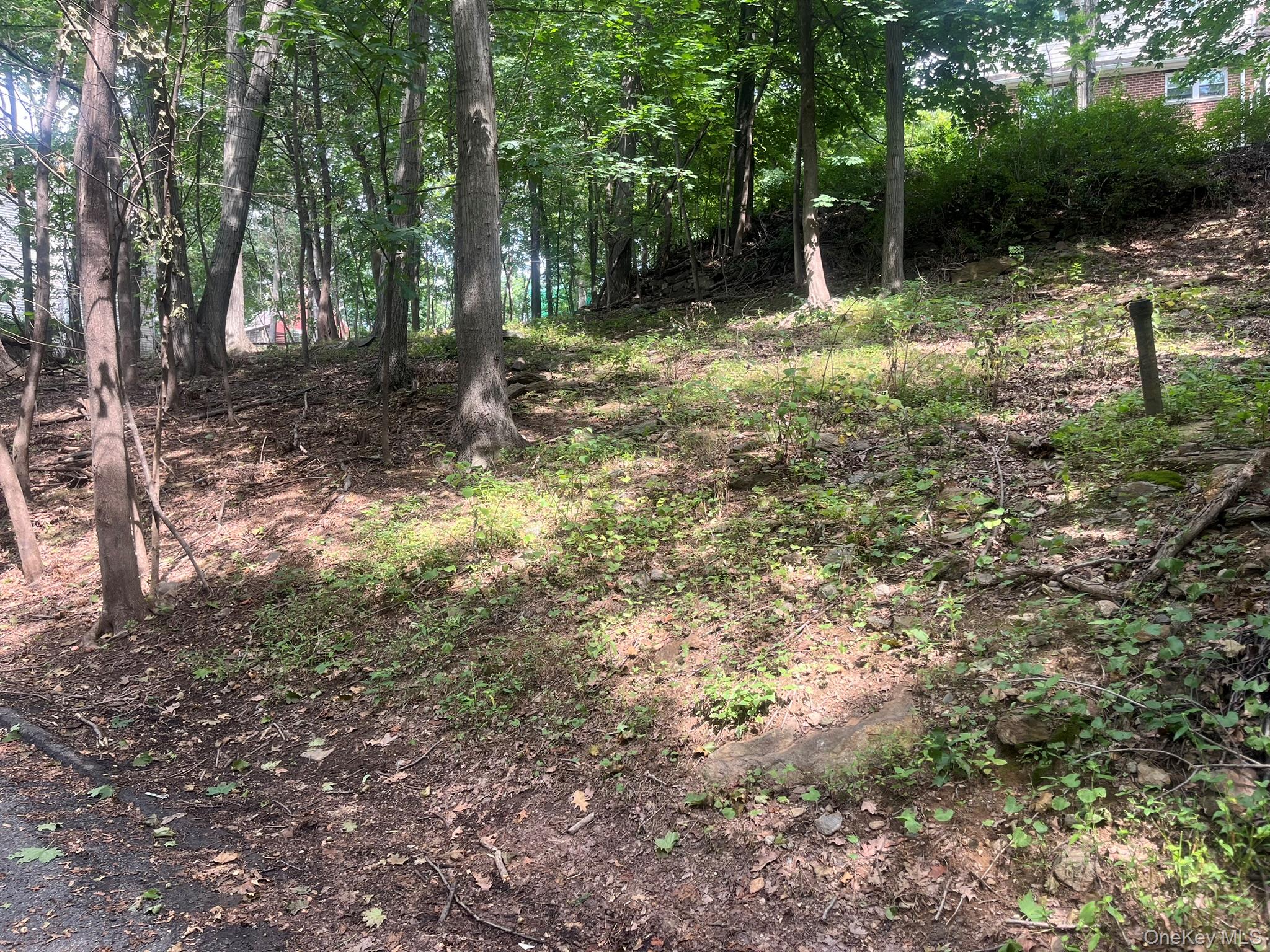 0 Springwood Avenue Ardsley, NY 10502 - Photo 2 of 2 a backyard of a house with lots of green space