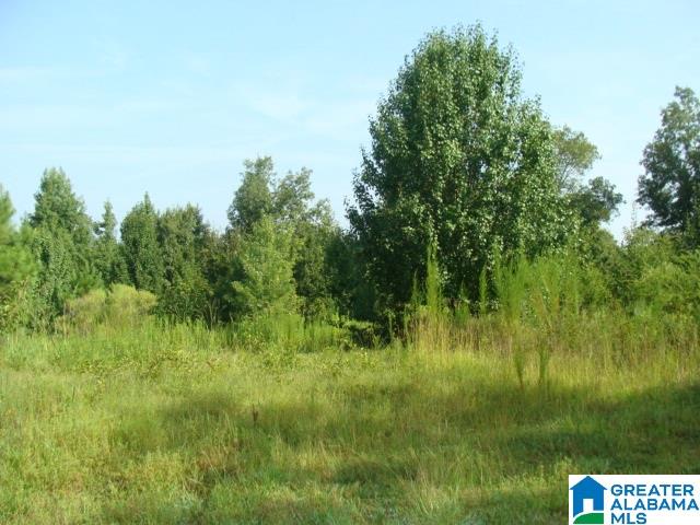 0 Roper Cemetery Road Columbiana, AL 35051 - Photo 1 of 6 Gallery Image 1