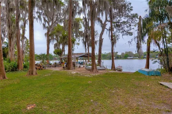 a view of a park with palm trees