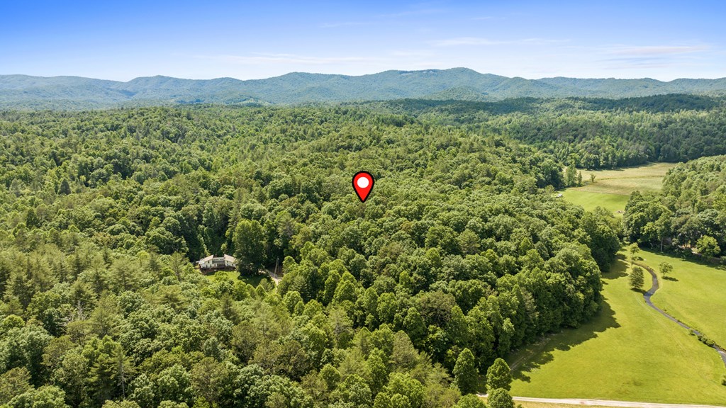 9.3-ac Canaan Road Ellijay, GA 30540 - Photo 12 of 17 a view of a lush green field with mountains in the background