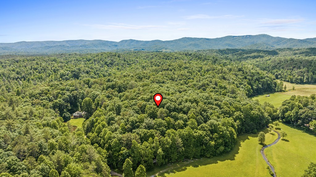 9.3-ac Canaan Road Ellijay, GA 30540 - Photo 13 of 17 a view of a lush green hillside and a houses
