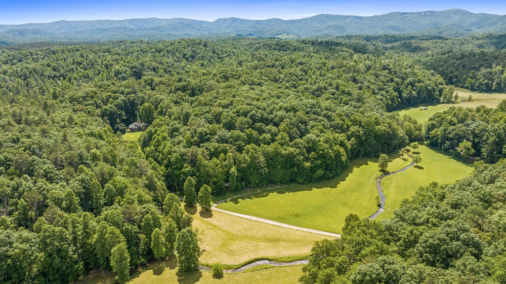 9.3-ac Canaan Road Ellijay, GA 30540 - Photo 15 of 17 a view of a lush green outdoor space with a lake view