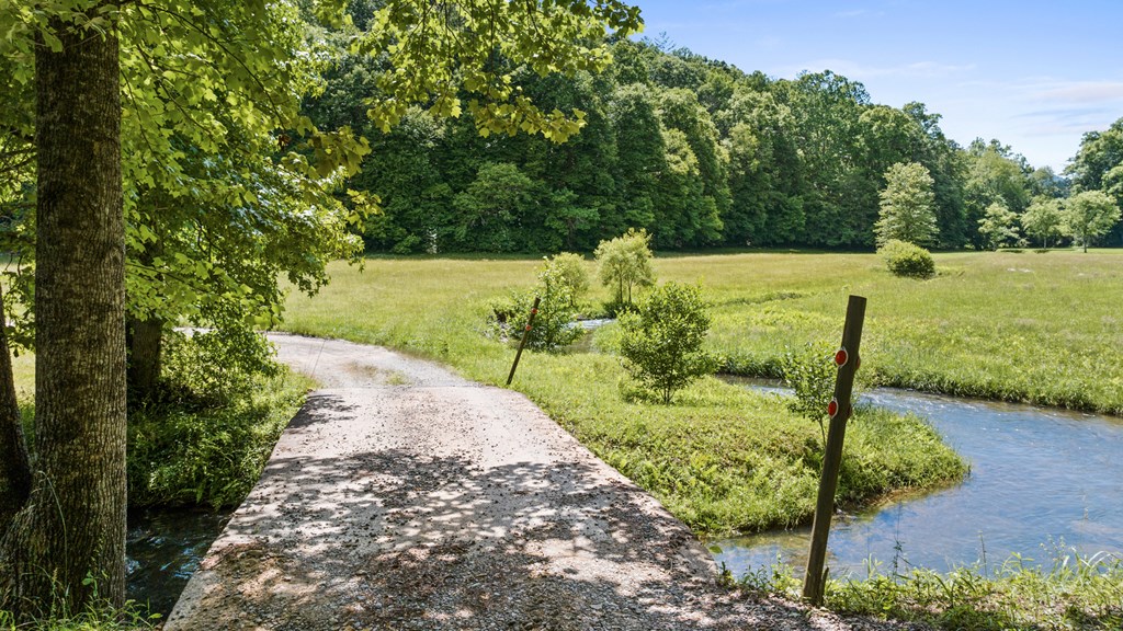 9.3-ac Canaan Road Ellijay, GA 30540 - Photo 17 of 17 a view of a garden with a bench in the background