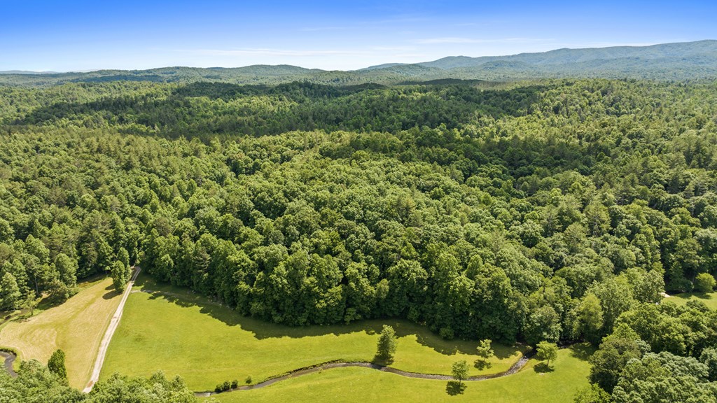 9.3-ac Canaan Road Ellijay, GA 30540 - Photo 2 of 17 a view of a forest