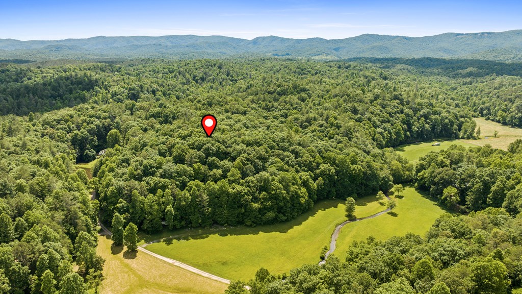 9.3-ac Canaan Road Ellijay, GA 30540 - Photo 4 of 17 a view of a lush green hillside and a houses