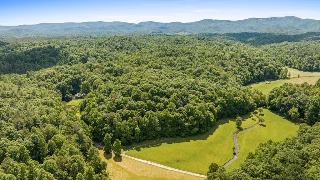 9.3-ac Canaan Road Ellijay, GA 30540 - Photo 6 of 17 a view of a lush green hillside and a houses
