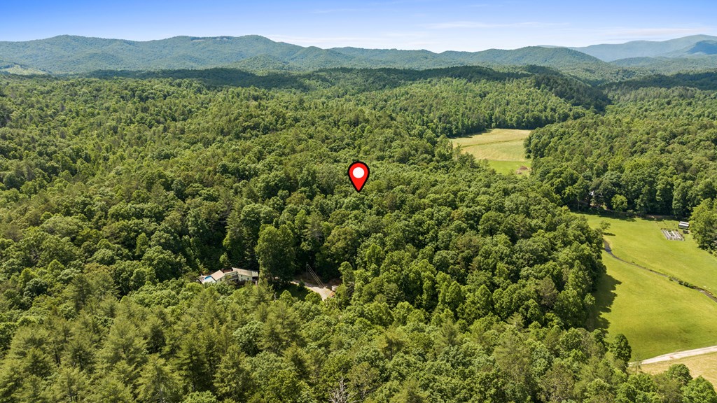 9.3-ac Canaan Road Ellijay, GA 30540 - Photo 8 of 17 a view of a green landscape with mountains in the background