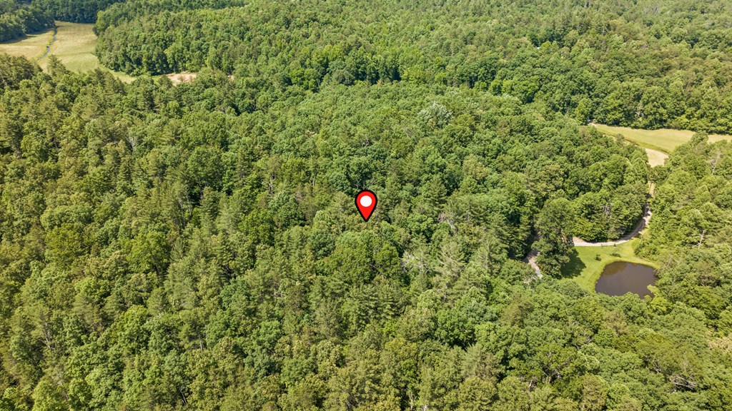 9.3-ac Canaan Road Ellijay, GA 30540 - Photo 10 of 17 a plant view