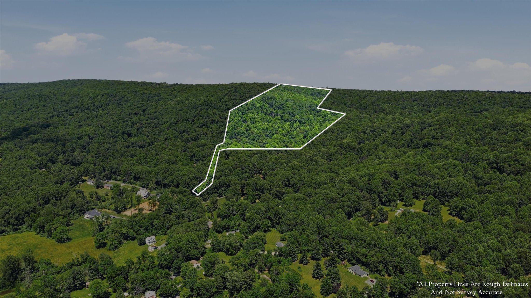 8939 Hawbottom Road Middletown, MD 21769 - Photo 11 of 92 Property boundary lines are estimated.