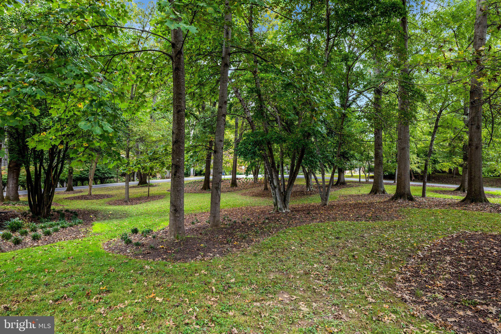 10015 Saddle Road Vienna, VA 22181 - Photo 81 of 95 Gallery Image 81