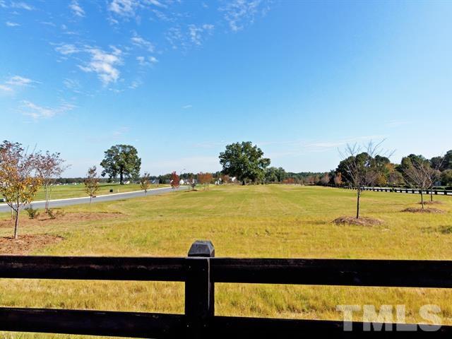 4124 Davis Meadow Street Raleigh, NC 27616 - Photo 10 of 15 a view of an ocean view