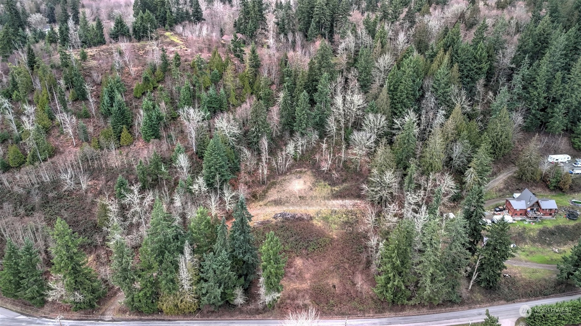 a view of a lot of trees and bushes