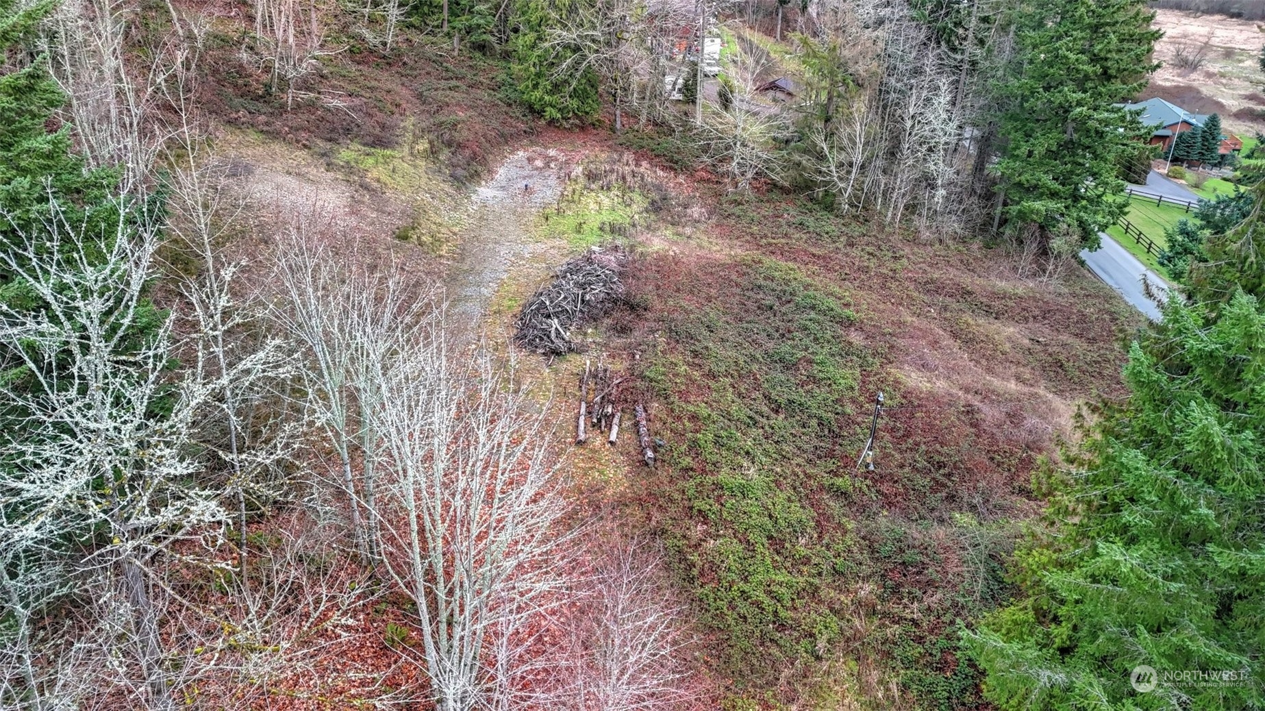 15906 Larson Loss Road Buckley, WA 98321 - Photo 14 of 19 a view of a yard with lots of bushes