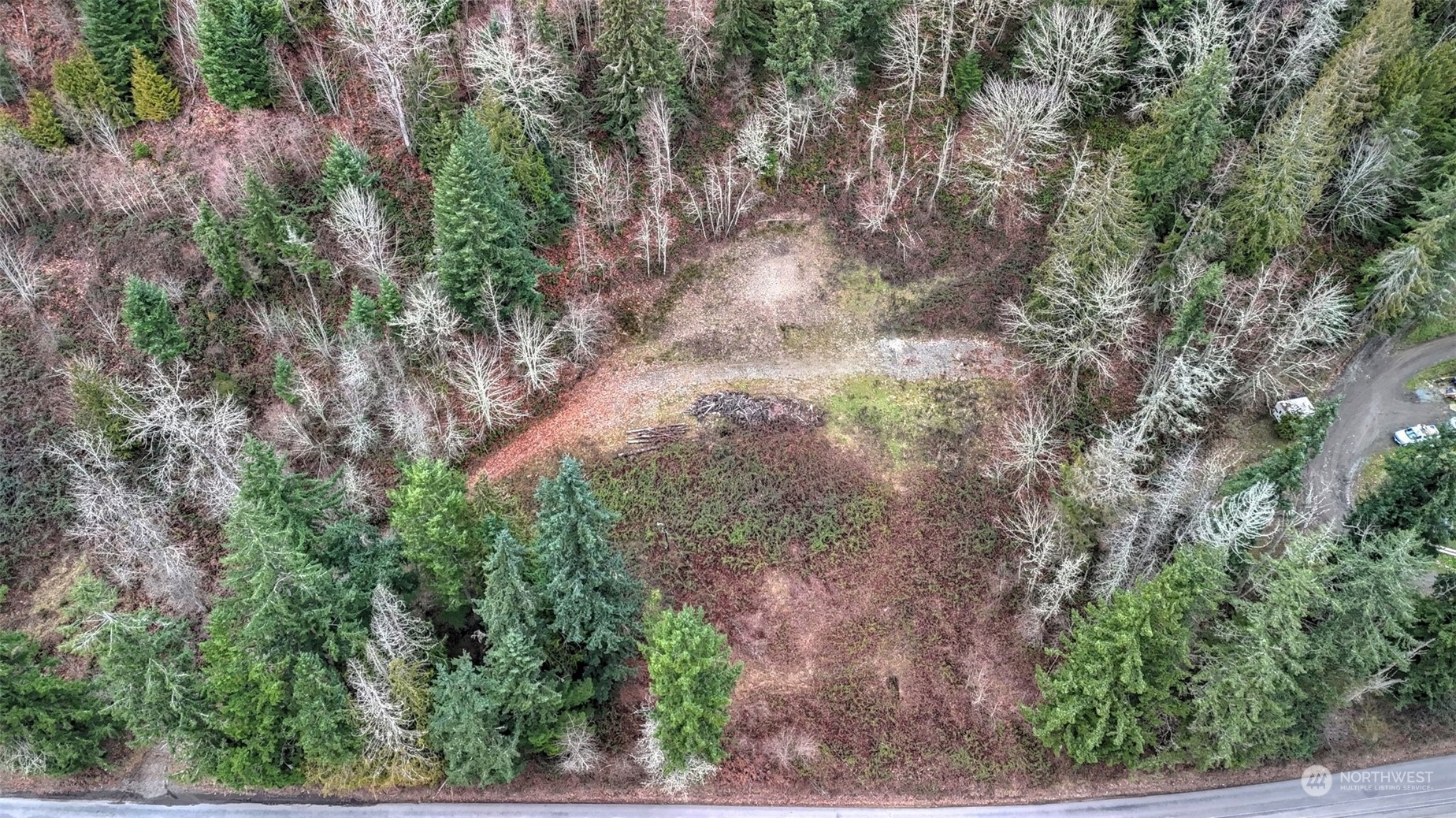 15906 Larson Loss Road Buckley, WA 98321 - Photo 16 of 19 a view of a yard with plants and trees