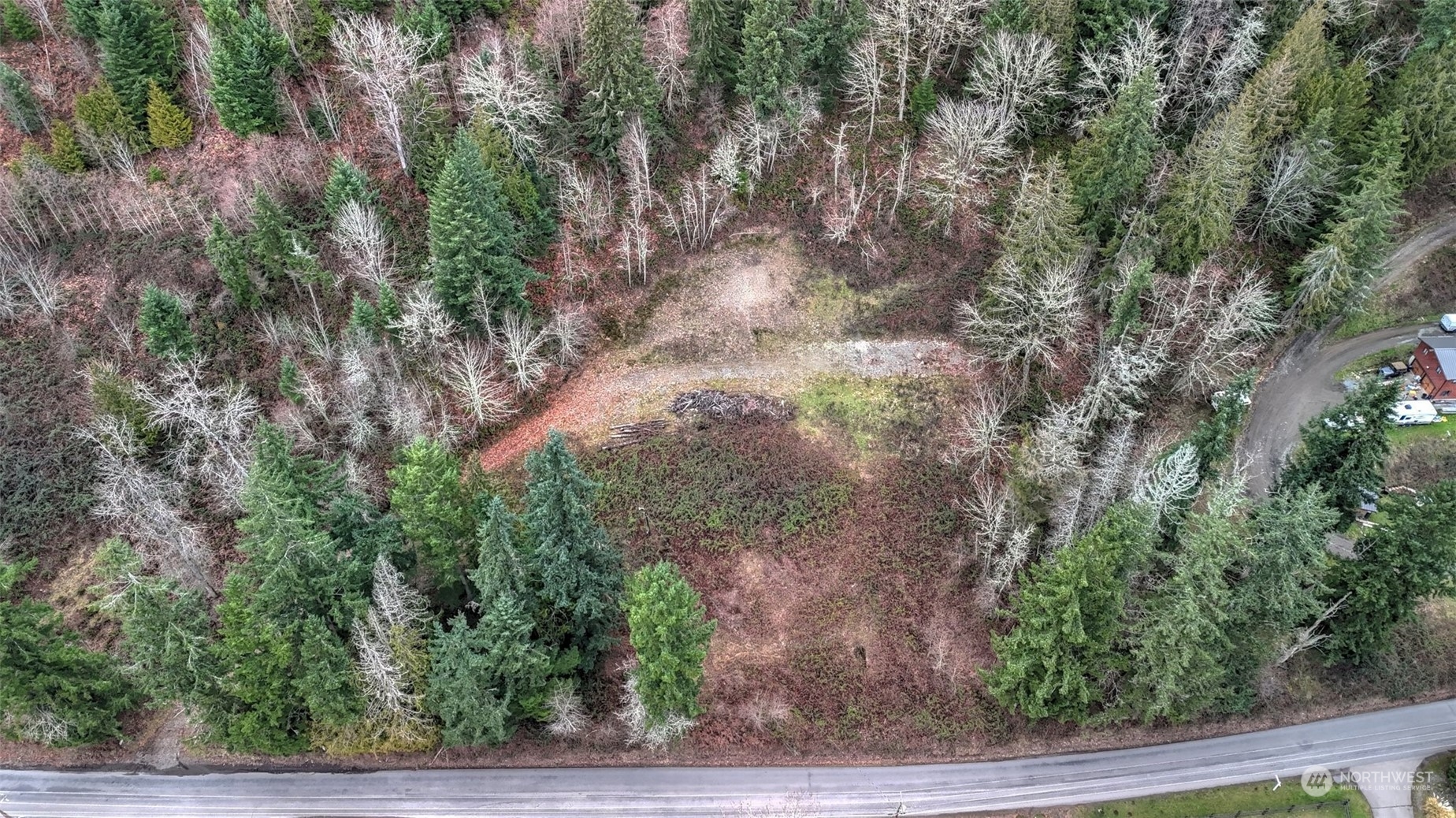 15906 Larson Loss Road Buckley, WA 98321 - Photo 17 of 19 a view of a yard with large trees
