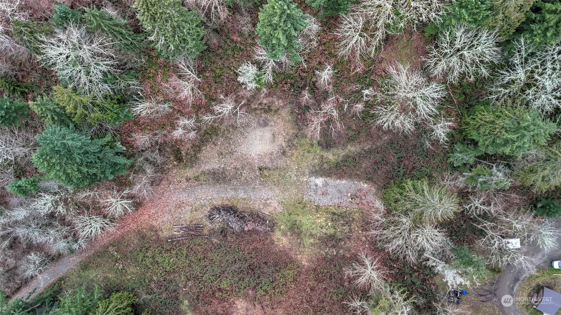 15906 Larson Loss Road Buckley, WA 98321 - Photo 18 of 19 a view of a forest with lots of trees