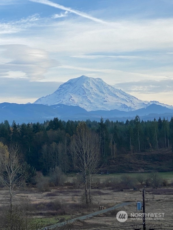 15906 Larson Loss Road Buckley, WA 98321 - Photo 19 of 19 a view of a yard with an outdoor space