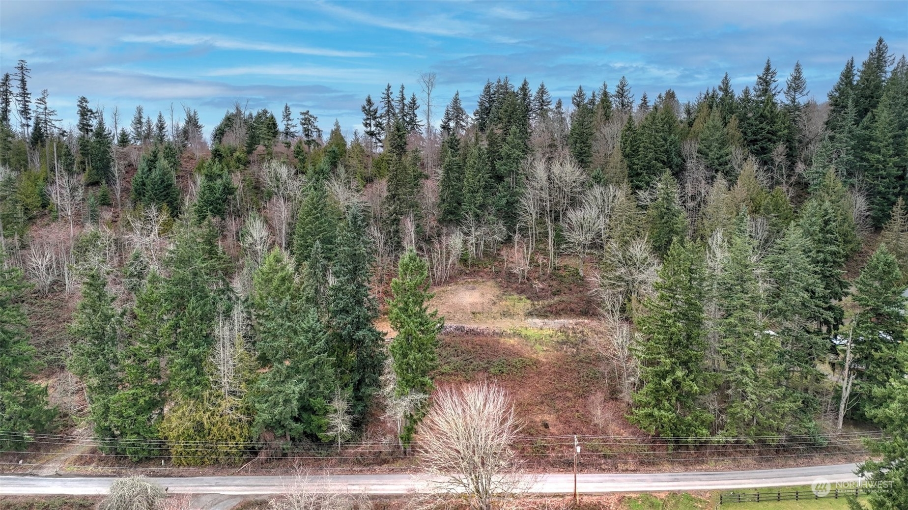 15906 Larson Loss Road Buckley, WA 98321 - Photo 3 of 19 a view of a yard with trees in front of it