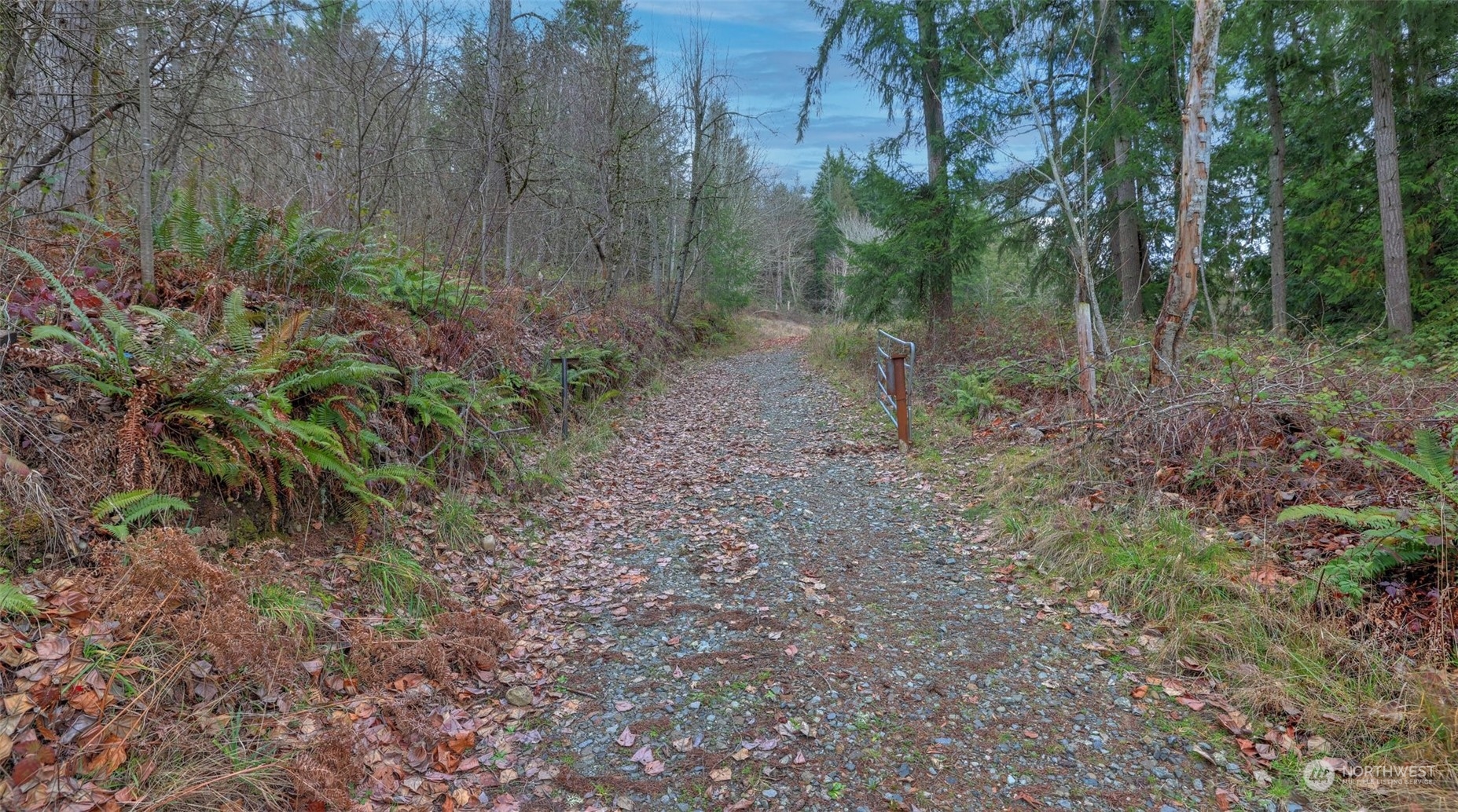15906 Larson Loss Road Buckley, WA 98321 - Photo 5 of 19 a view of a yard