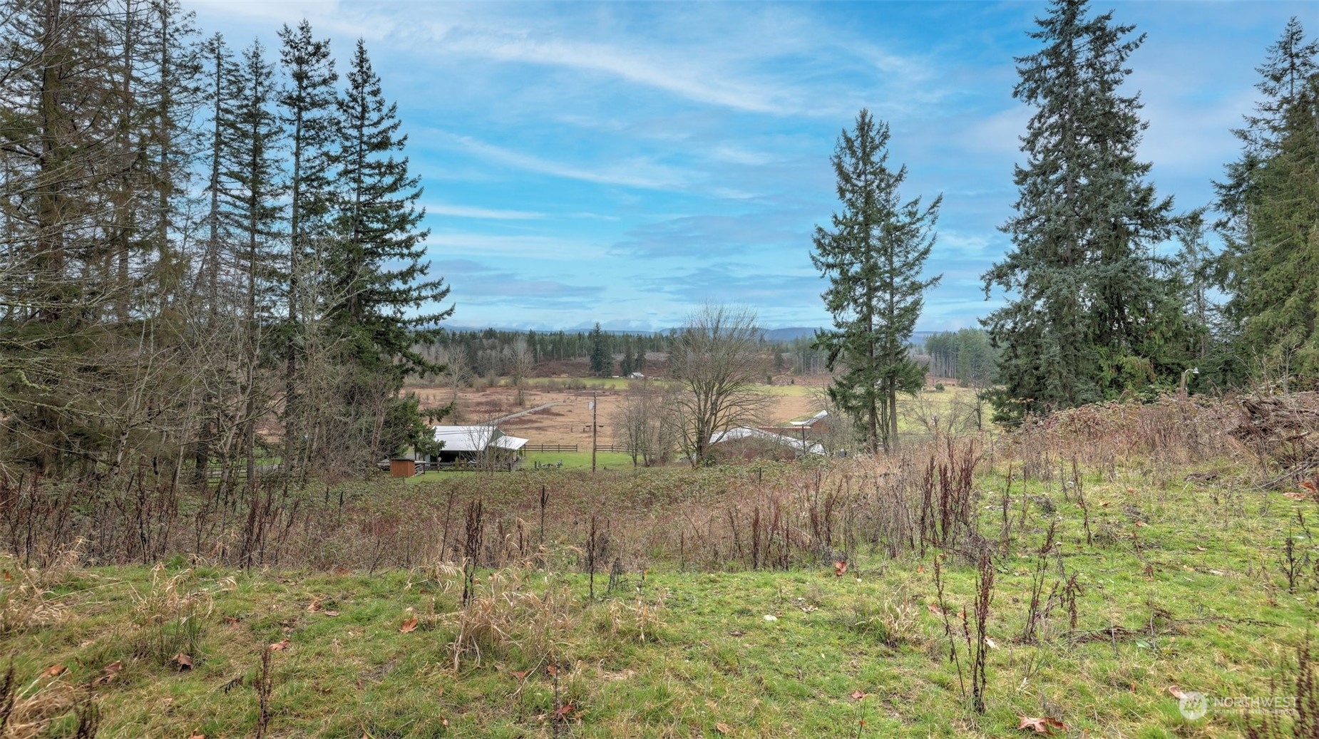 15906 Larson Loss Road Buckley, WA 98321 - Photo 6 of 19 a view of a lake view