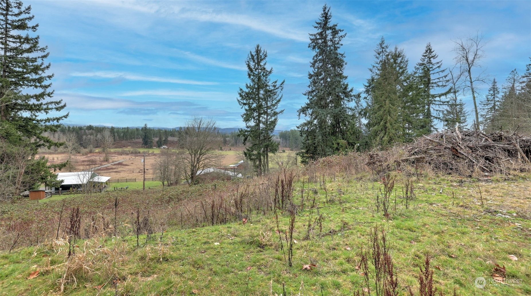 15906 Larson Loss Road Buckley, WA 98321 - Photo 7 of 19