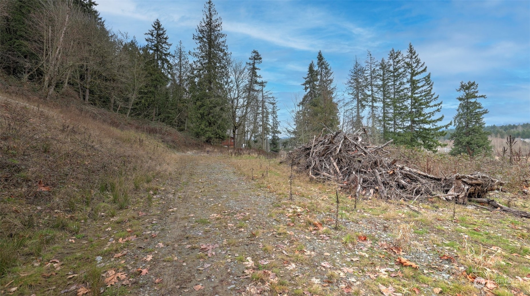 15906 Larson Loss Road Buckley, WA 98321 - Photo 8 of 19 a view of a forest with trees in the background