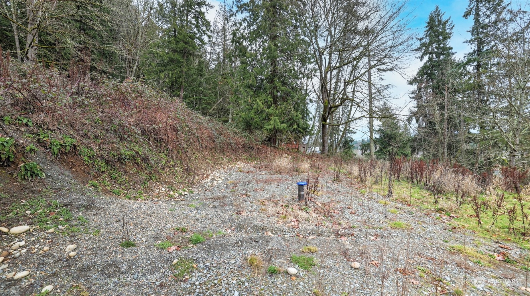 15906 Larson Loss Road Buckley, WA 98321 - Photo 9 of 19 a view of a forest with trees in the background