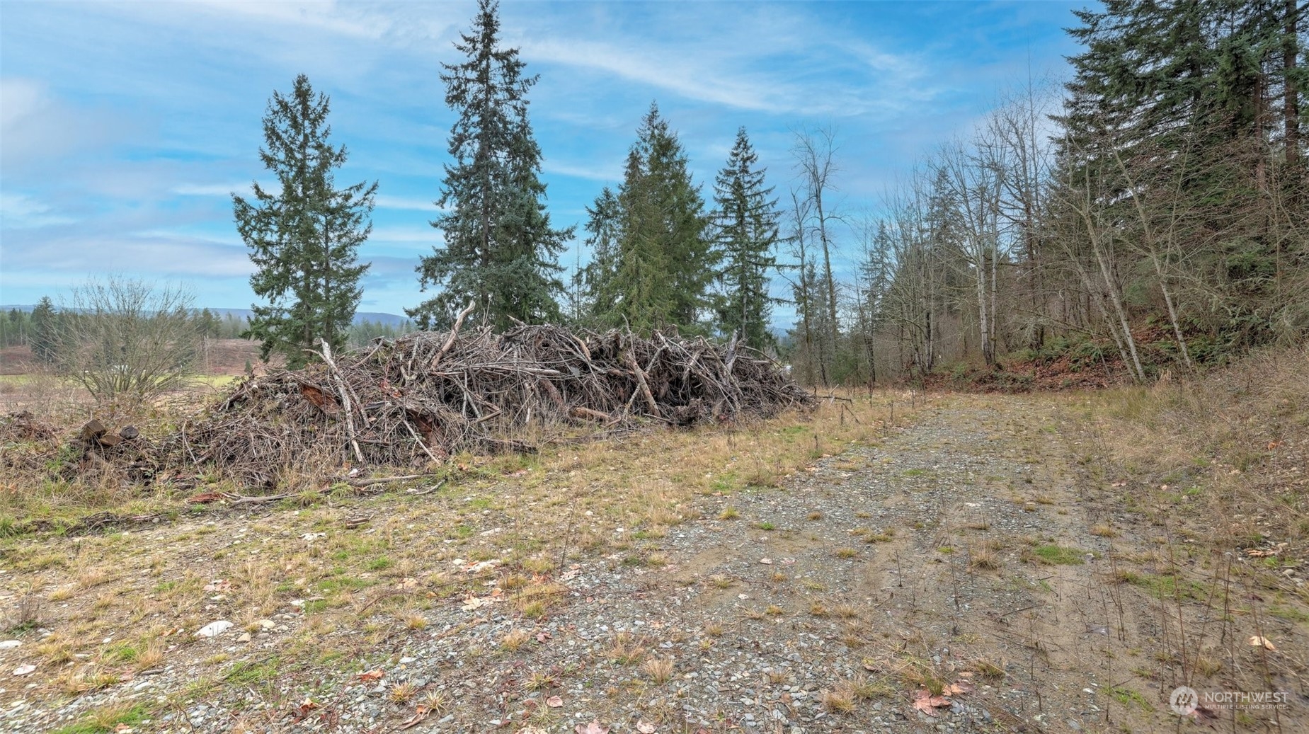 15906 Larson Loss Road Buckley, WA 98321 - Photo 10 of 19 a view of a yard with trees