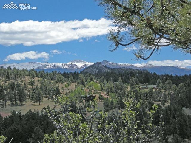 135 High Pasture Road Florissant, CO 80816 - Photo 2 of 6