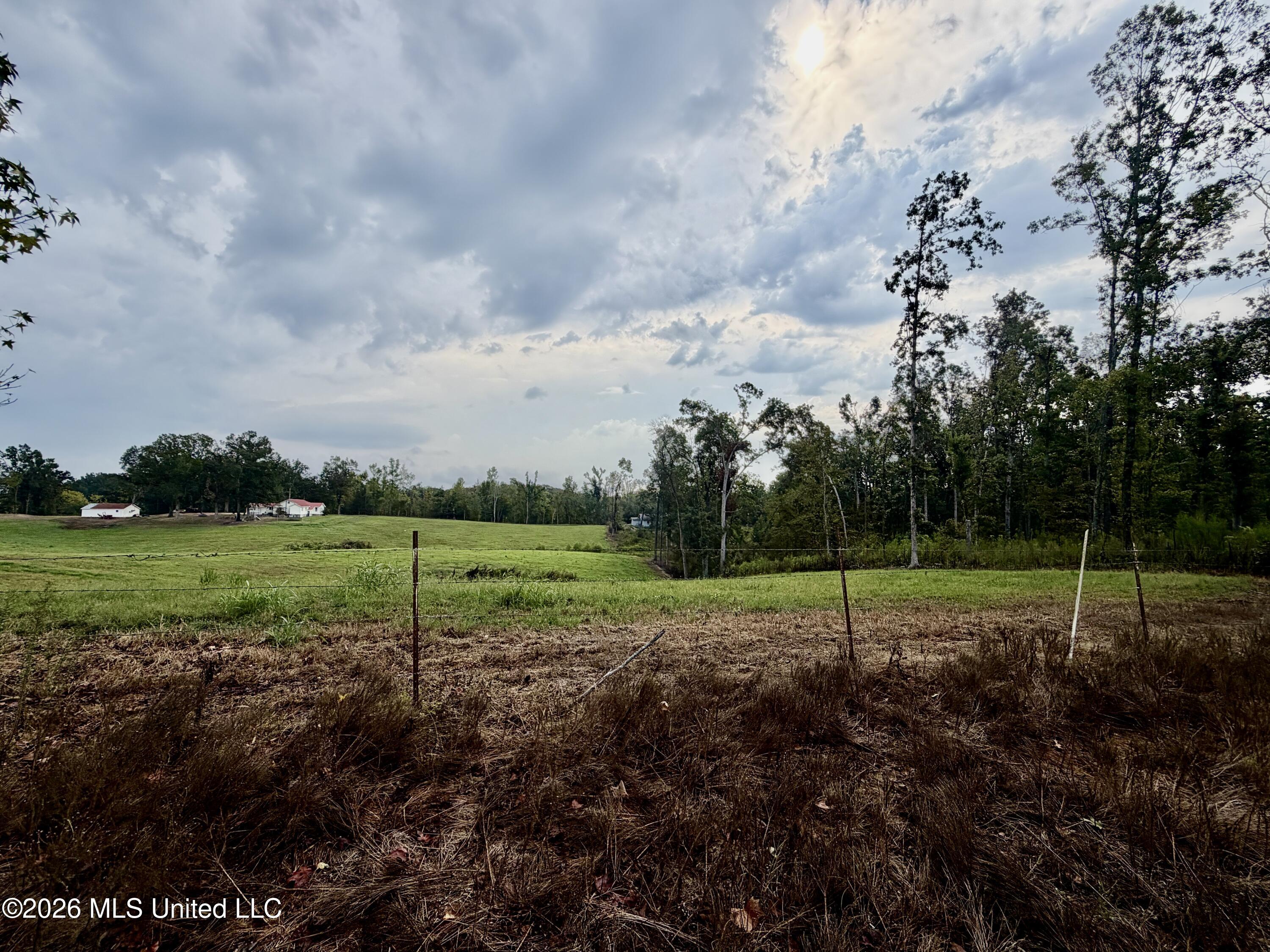1955 Adams Road Oakland, MS 38948 - Photo 20 of 26 IMG_5664