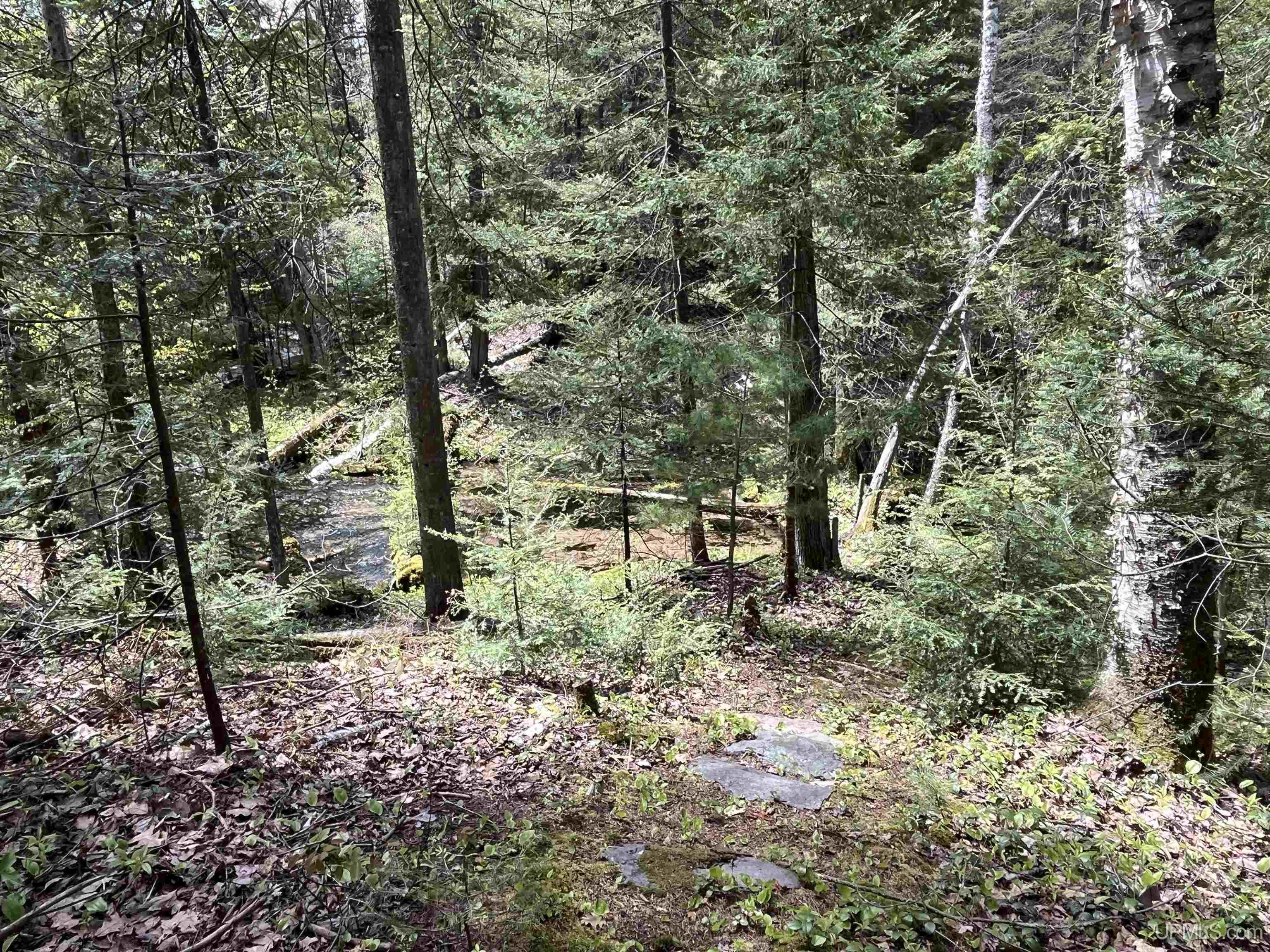 38-acres County Rd NA Road Marquette, MI 49855 - Photo 39 of 70