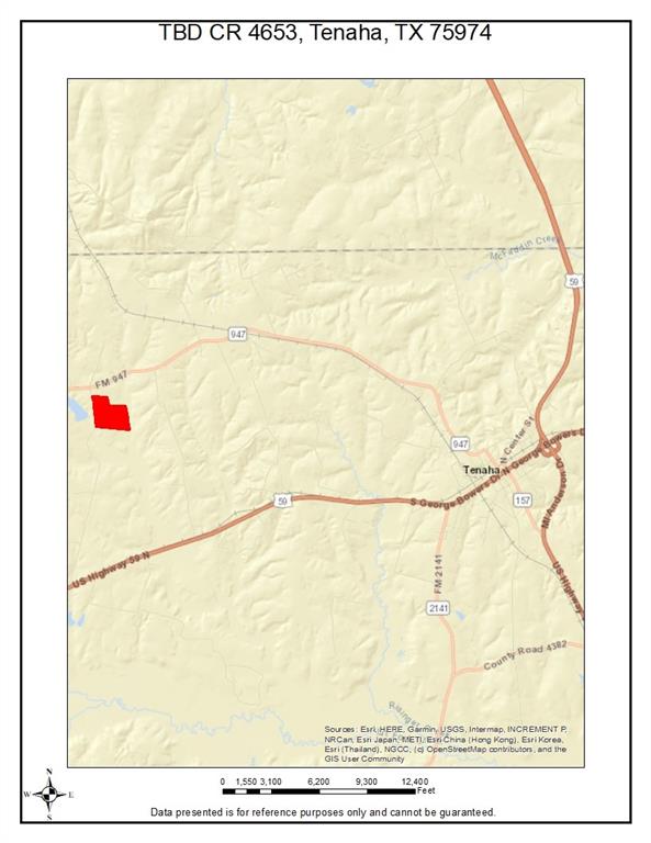 Tbd-c County Road 4653 Timpson, TX 75975 - Photo 12 of 12