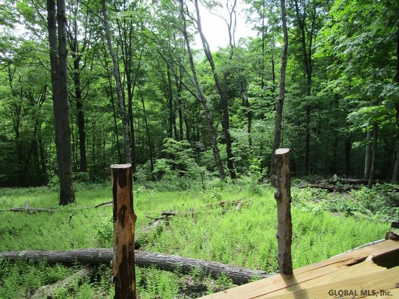 Rossman Road Denver, NY 12421 - Photo 11 of 23 Photo 11